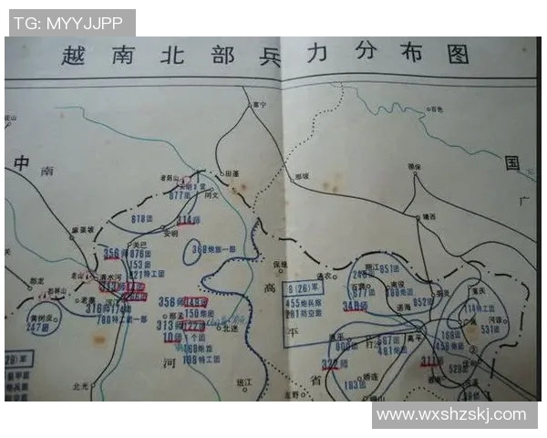 运动数据南京篮球队战术深度剖析与对手战术特点全面对比分析